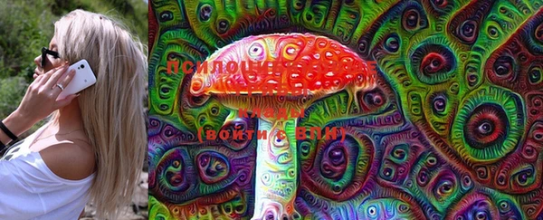индика Медвежьегорск