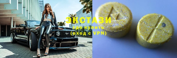 индика Медвежьегорск
