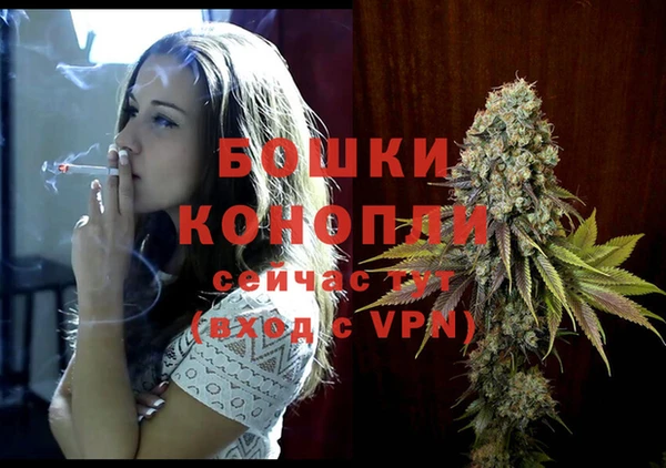 герыч Мегион