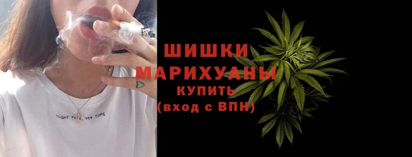 индика Краснотурьинск