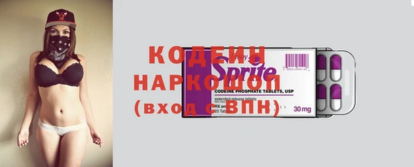 хмурый Аркадак
