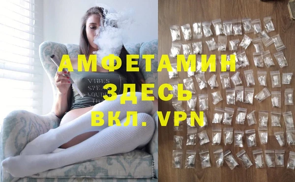 индика Медвежьегорск