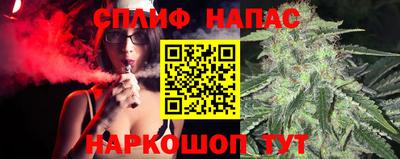 ALPHA PVP Гусев