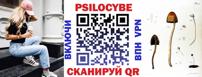 Галлюциногенные грибы Cubensis  дарк нет Telegram  Камышлов 