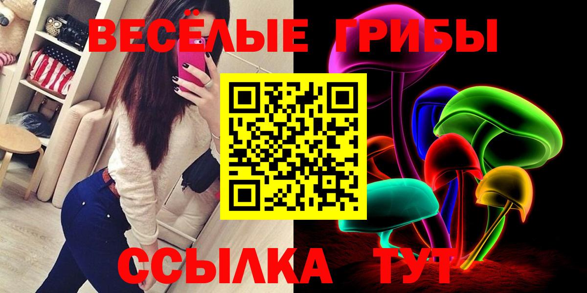 Галлюциногенные грибы прущие грибы  Вход с VPN  Камышлов  Галлюциногенные грибы прущие грибы 