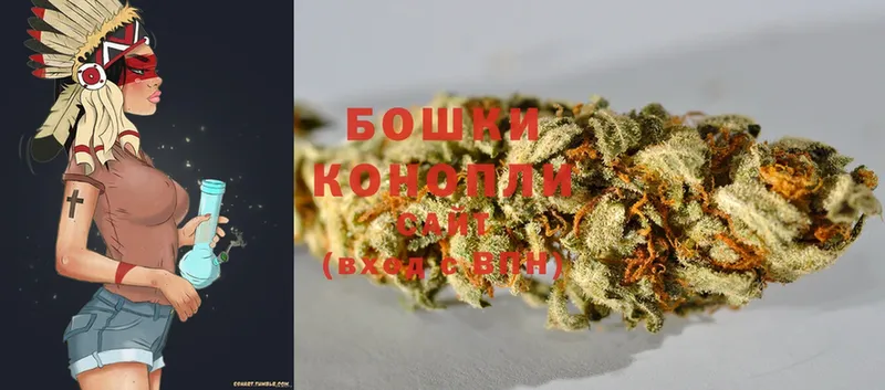 Бошки марихуана Bruce Banner  Камышлов 